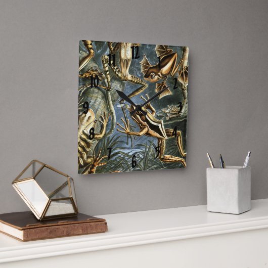 Ernst Haeckel variëteit exotische kikkers:Batrachi Vierkante Klok (Kantoor)