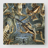 Ernst Haeckel variëteit exotische kikkers:Batrachi Vierkante Klok (Voorkant)