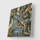 Ernst Haeckel variëteit exotische kikkers:Batrachi Vierkante Klok (Hoek)