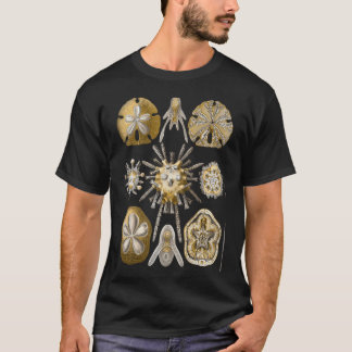 Ernst Haeckel - Wetenschappelijke illustratie - T-shirt