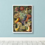 Ernst Haeckel Zee Anemones Canvas Afdruk (Insitu (Houten vloer))