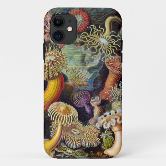 Ernst Haeckel Zee anemones Case-Mate iPhone Case (Achterkant)