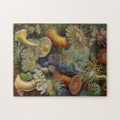 Ernst Haeckel Zee Anemones Legpuzzel (Horizontaal)