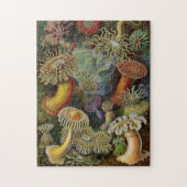 Ernst Haeckel Zee Anemones Legpuzzel (Verticaal)