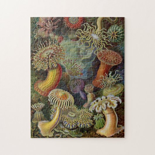 Ernst Haeckel Zee Anemones Legpuzzel (Verticaal)