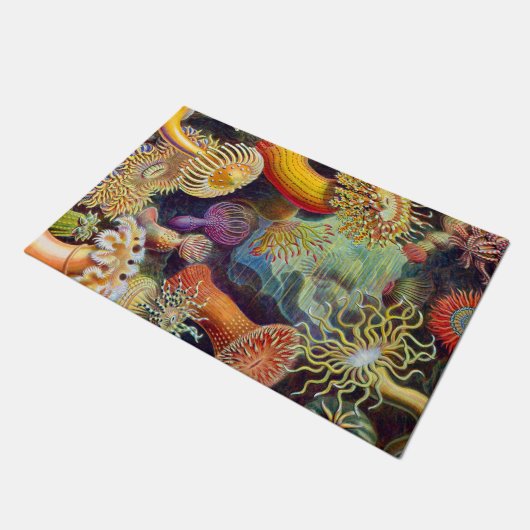 Ernst Haeckel Zee Anemones Marine:Actiniae Deurmat (Schuin)