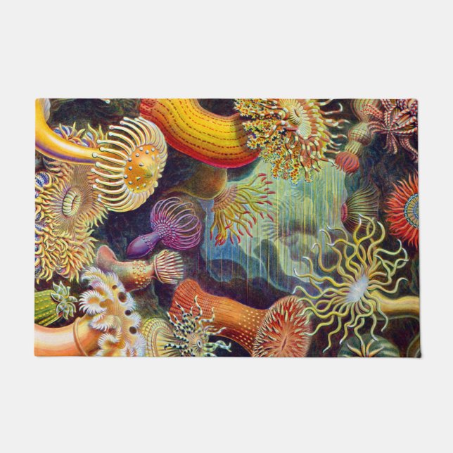 Ernst Haeckel Zee Anemones Marine:Actiniae Deurmat (Voorkant)