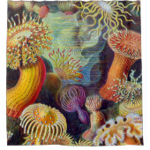 Ernst Haeckel Zee Anemones Marine:Actiniae Douchegordijn (Voorkant)