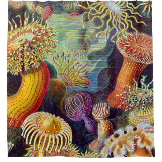 Ernst Haeckel Zee Anemones Marine:Actiniae Douchegordijn (Voorkant)