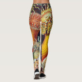 Ernst Haeckel Zee Anemones Marine:Actiniae Leggings (Achterkant)