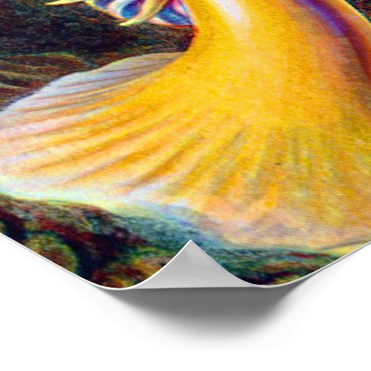 Ernst Haeckel Zee Anemones Marine:Actiniae Poster (Hoek)