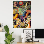 Ernst Haeckel Zee Anemones Marine:Actiniae Poster (Thuiskantoor)