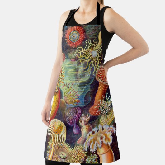 Ernst Haeckel Zee Anemones Marine:Actiniae Schort (Insitu)