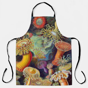 Ernst Haeckel Zee Anemones Marine:Actiniae Schort