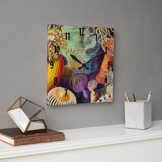 Ernst Haeckel Zee Anemones Marine:Actiniae Vierkante Klok (Kantoor)