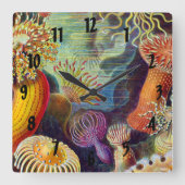 Ernst Haeckel Zee Anemones Marine:Actiniae Vierkante Klok (Voorkant)