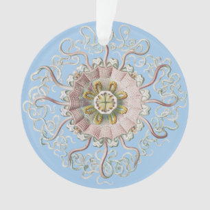Ernst Haeckel Zee Roze kwal Medusa Ornament