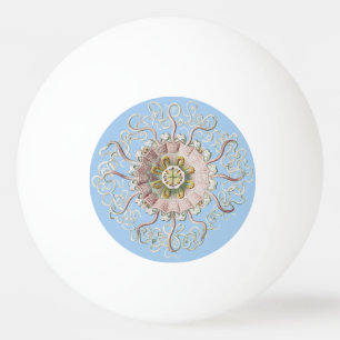 Ernst Haeckel Zee Roze kwal Medusa Pingpongbal