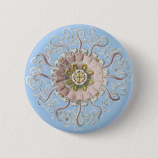 Ernst Haeckel Zee Roze kwal Medusa Ronde Button 5,7 Cm (Voorkant)