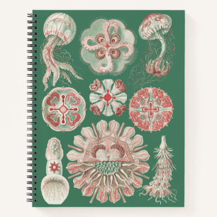 Ernst Haeckel Zeeleven Roze Kwallen Groene Poster Notitieboek