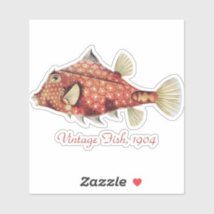 Ernst Haeckel Zeevaart Rode Kofferkrab Zeeleven Sticker