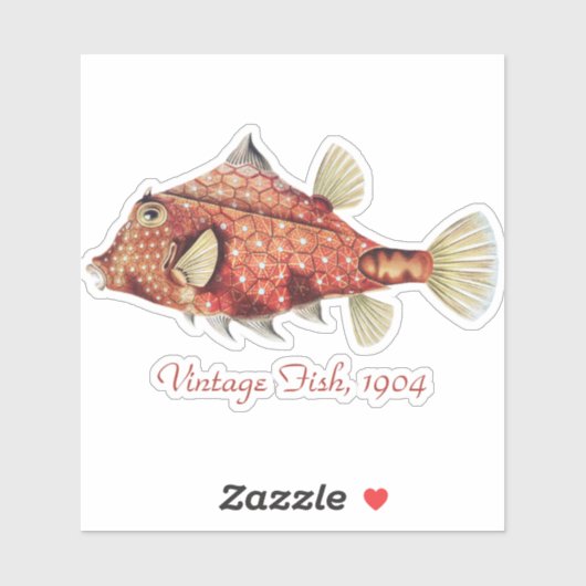 Ernst Haeckel Zeevaart Rode Kofferkrab Zeeleven Sticker (Vel)