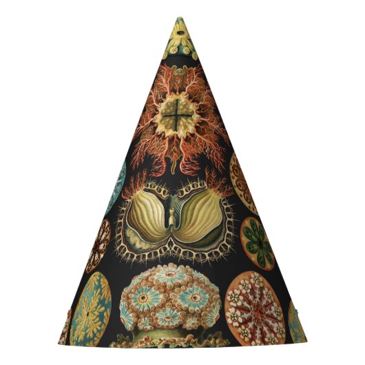 Ernst Haeckel Zeevaart Zeeleven Art Collage Feesthoedjes (Voorkant)