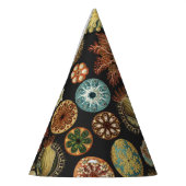 Ernst Haeckel Zeevaart Zeeleven Art Collage Feesthoedjes (Links)