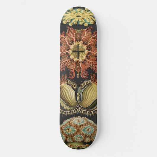 Ernst Haeckel Zeevaart Zeeleven Art Collage Persoonlijk Skateboard (Voorkant)