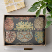 Ernst Haeckel Zeevaart Zeeleven Art Collage Tissuepapier (Geschenk)