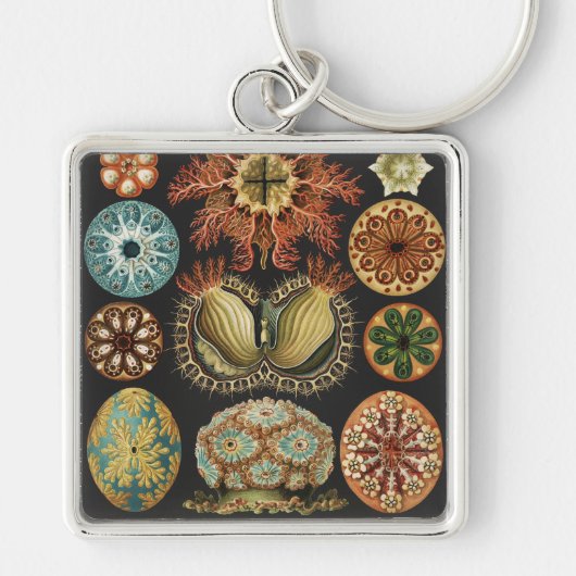 Ernst Haeckel Zeevaart Zeeleven Collage Sleutelhanger (Voorkant)
