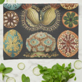 Ernst Haeckel Zeevaart Zeeleven Collage Theedoek (Gevouwen)