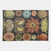Ernst Haeckel Zeevaart Zeeleven Collage Theedoek (Horizontaal)