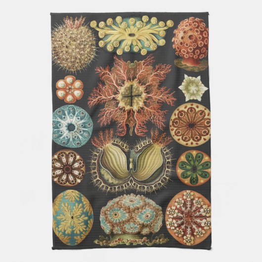 Ernst Haeckel Zeevaart Zeeleven Collage Theedoek (Verticaal)