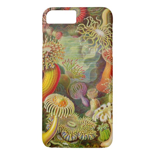 Ernst Haeckel's Actinae Ocean Life Case-Mate iPhone Case (Achterkant)