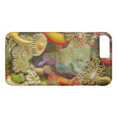 Ernst Haeckel's Actinae Ocean Life Case-Mate iPhone Case (Achterkant (Horizontaal))