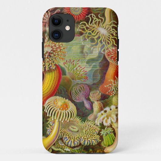 Ernst Haeckel's Actinae Ocean Life Case-Mate iPhone Case (Achterkant)