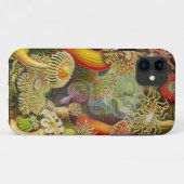 Ernst Haeckel's Actinae Ocean Life Case-Mate iPhone Case (Achterkant (horizontaal))