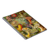 Ernst Haeckel's Actinae Ocean Life Notitieboek (Rechterzijde)