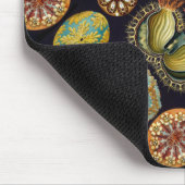 Ernst Haeckel's Ascidiae Ocean Life Muismat (Hoek)