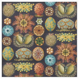 Ernst Haeckel's Ascidiae Ocean Life Stof