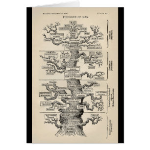 Ernst Haeckel's "boom of life"