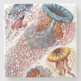 Ernst Haeckel's Discomedusae Stenen Onderzetter