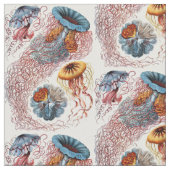 Ernst Haeckel's Discomedusae Stof (Close Up)