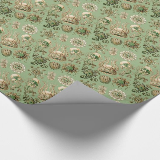 Ernst Haeckel's Narcomedusae Cadeaupapier (Hoek)