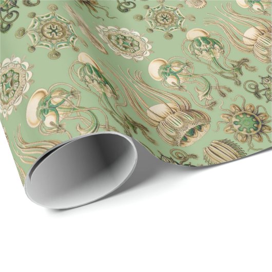 Ernst Haeckel's Narcomedusae Cadeaupapier (Rol Hoek)