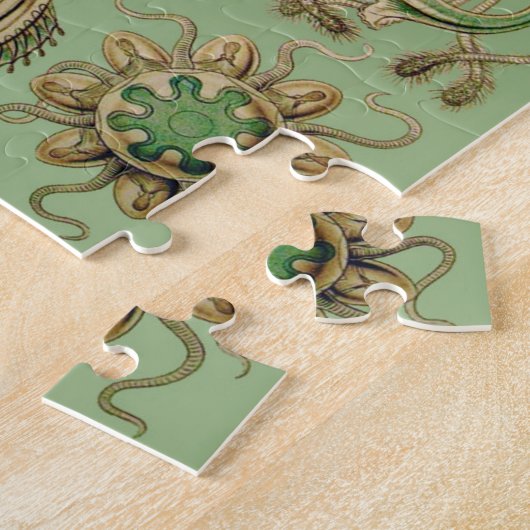 Ernst Haeckel's Narcomedusae Legpuzzel (Zijkant)