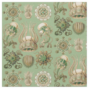 Ernst Haeckel's Narcomedusae Stof