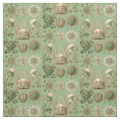 Ernst Haeckel's Narcomedusae Stof (Swatch)