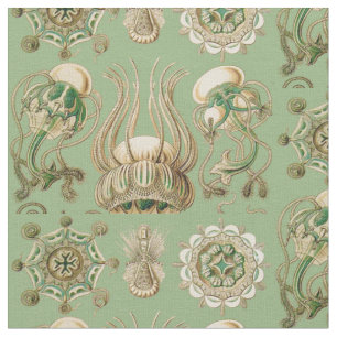 Ernst Haeckel's Narcomedusae Stof